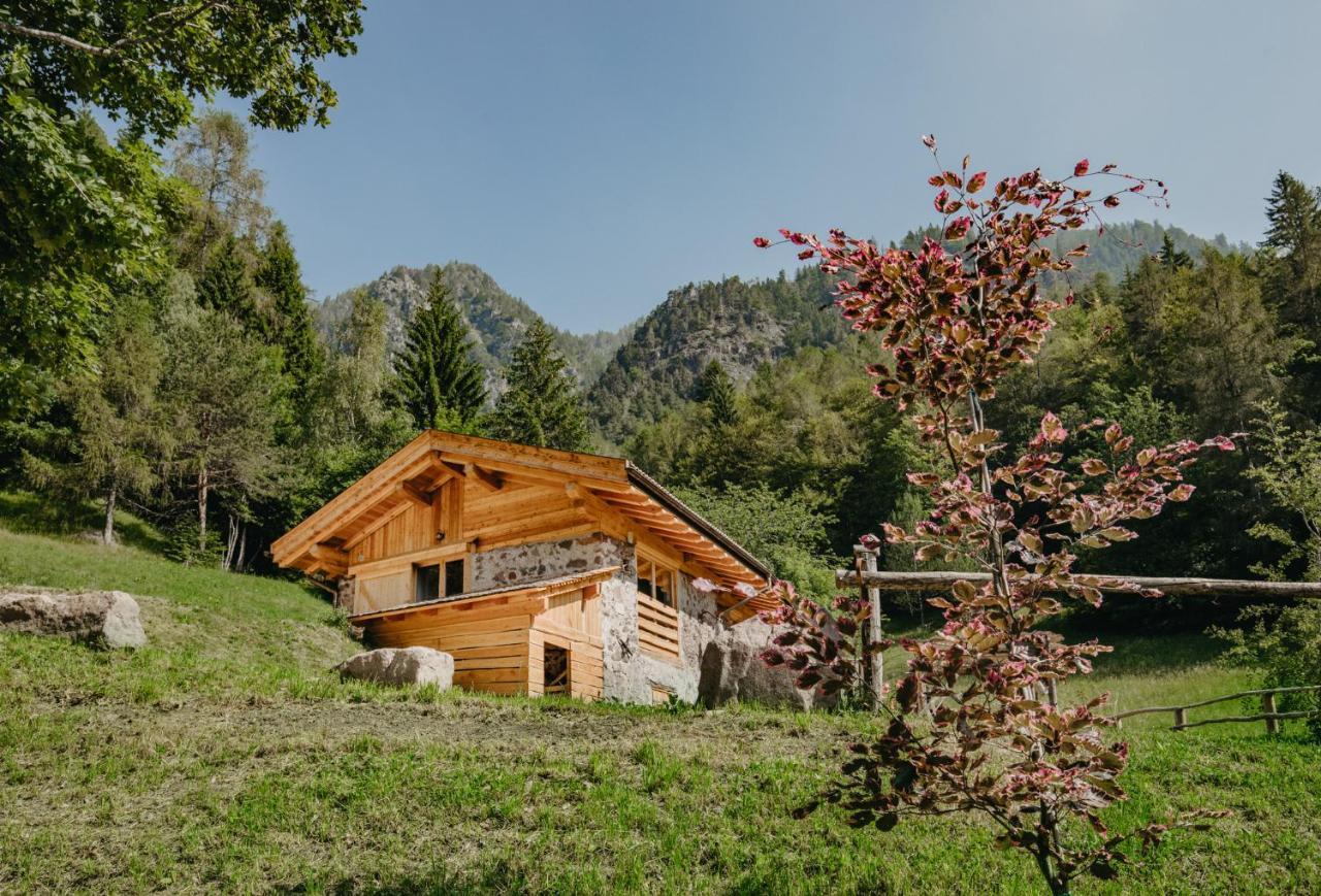 Odomi Maso Nel Bosco Villa Sant'Orsola Exteriör bild