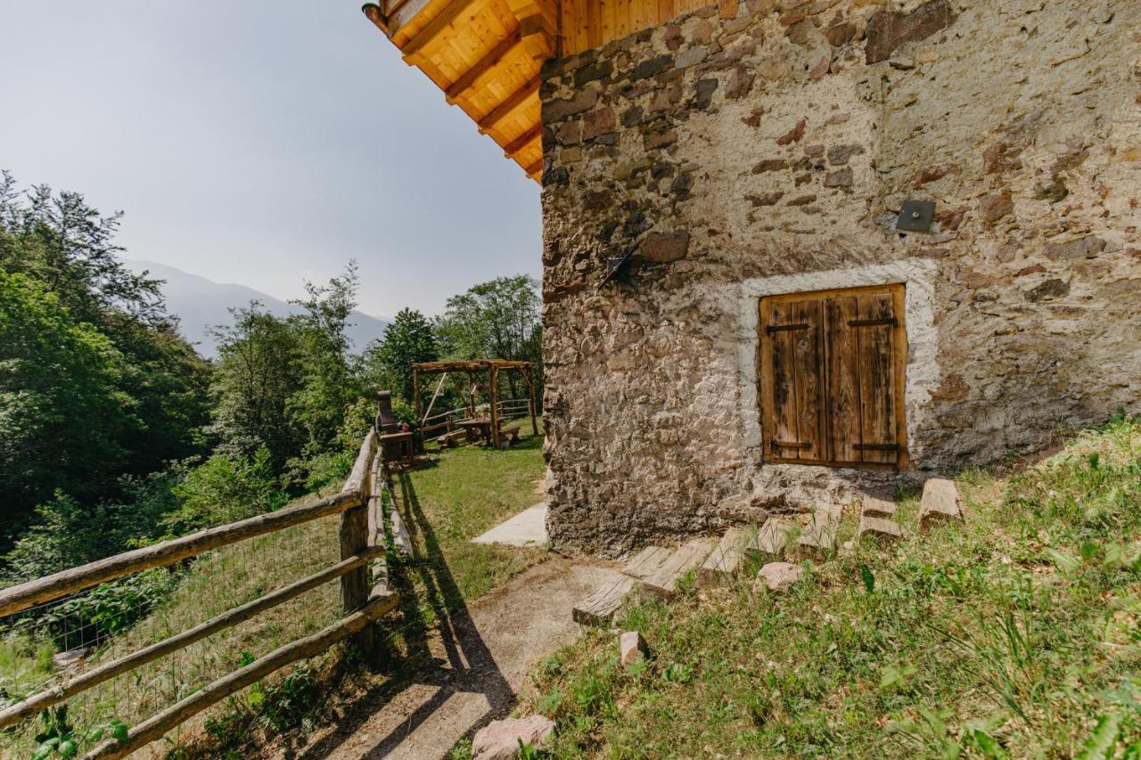 Odomi Maso Nel Bosco Villa Sant'Orsola Exteriör bild